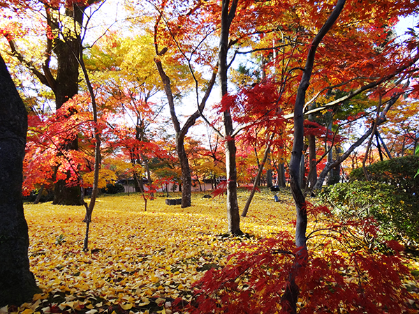 京都 永観堂